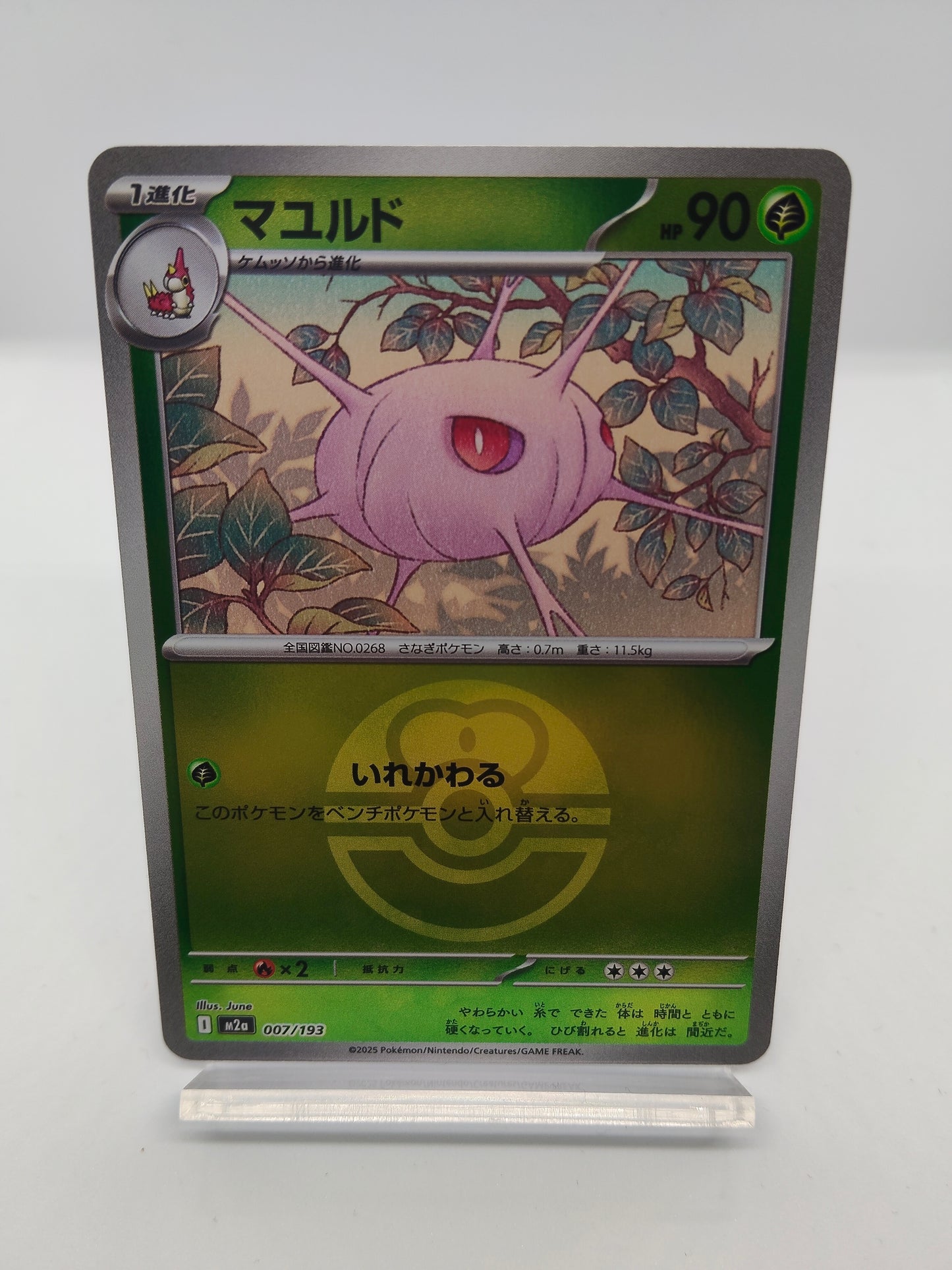 マユルド / ボールミラー / メガドリームex 007