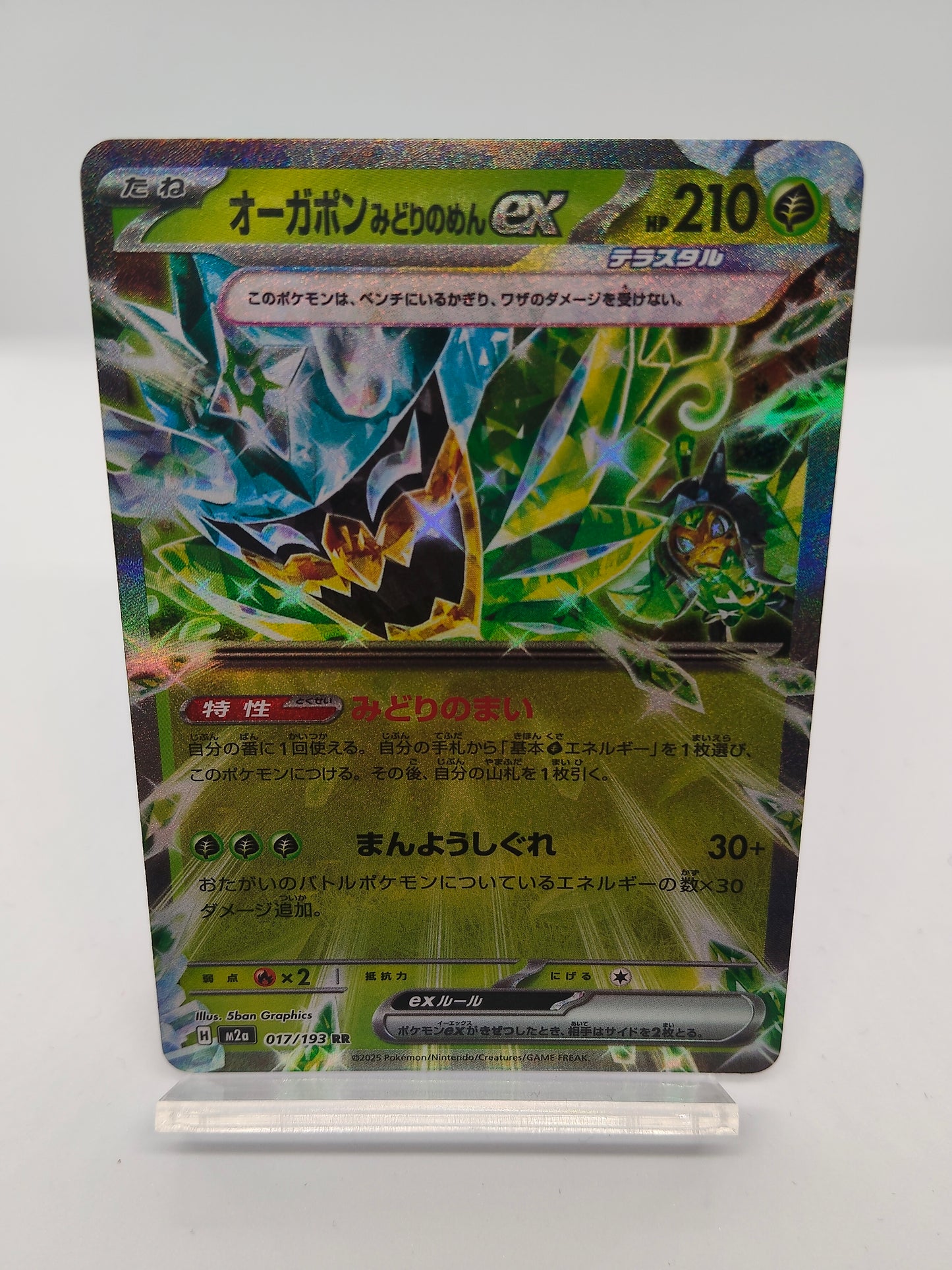 オーガポンみどりのかめんex / RR / メガドリームex 017