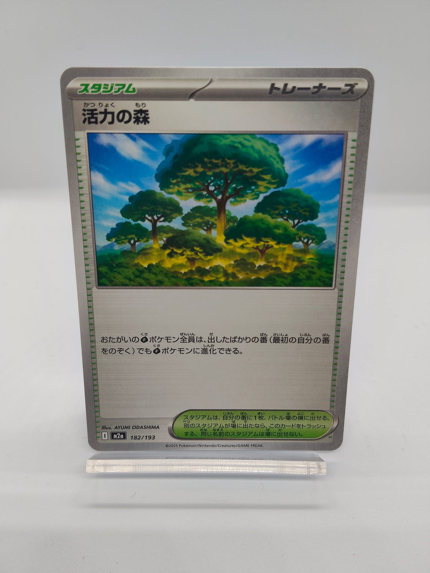 活力の森(スタジアム) / コモン / メガドリームex 182