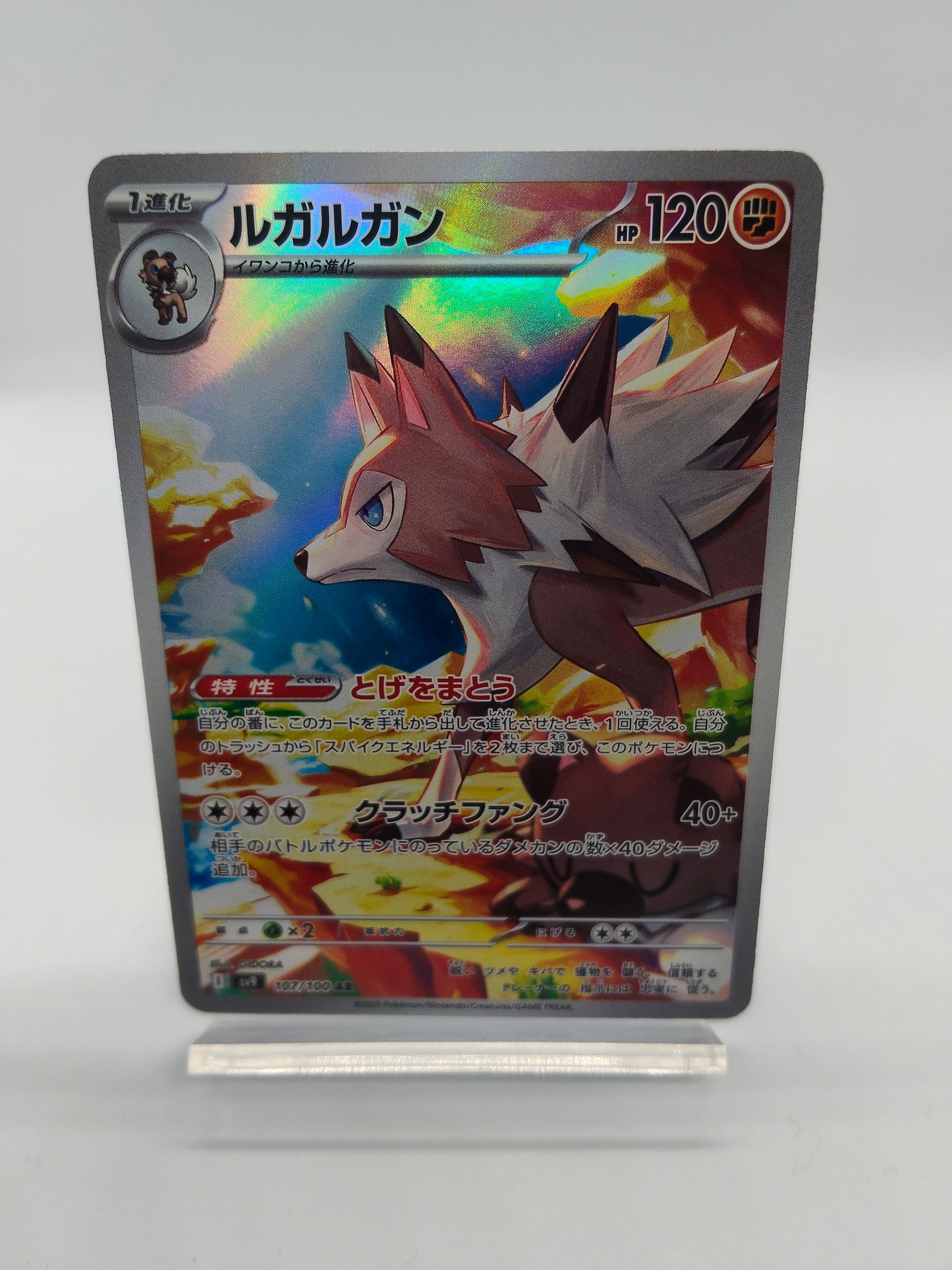 ルガルガン / AR / バトルパートナーズ