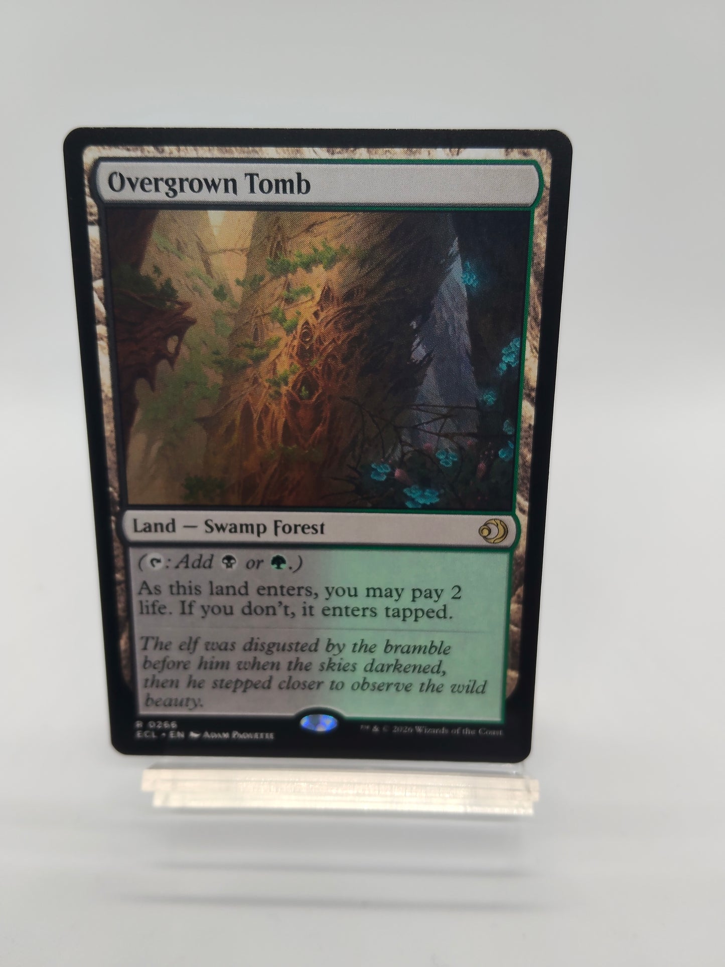 草むした墓 / Overgrown Tomb