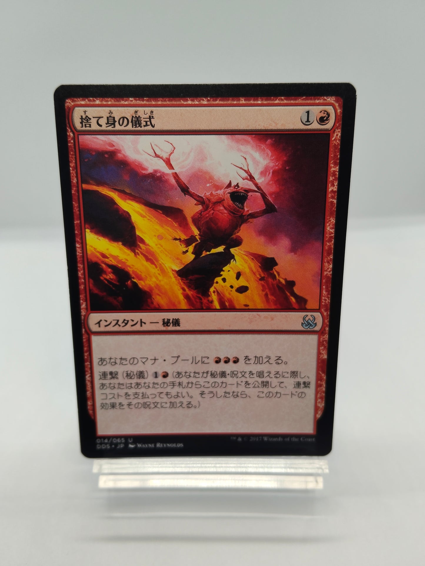 捨て身の儀式 / Desperate Ritua