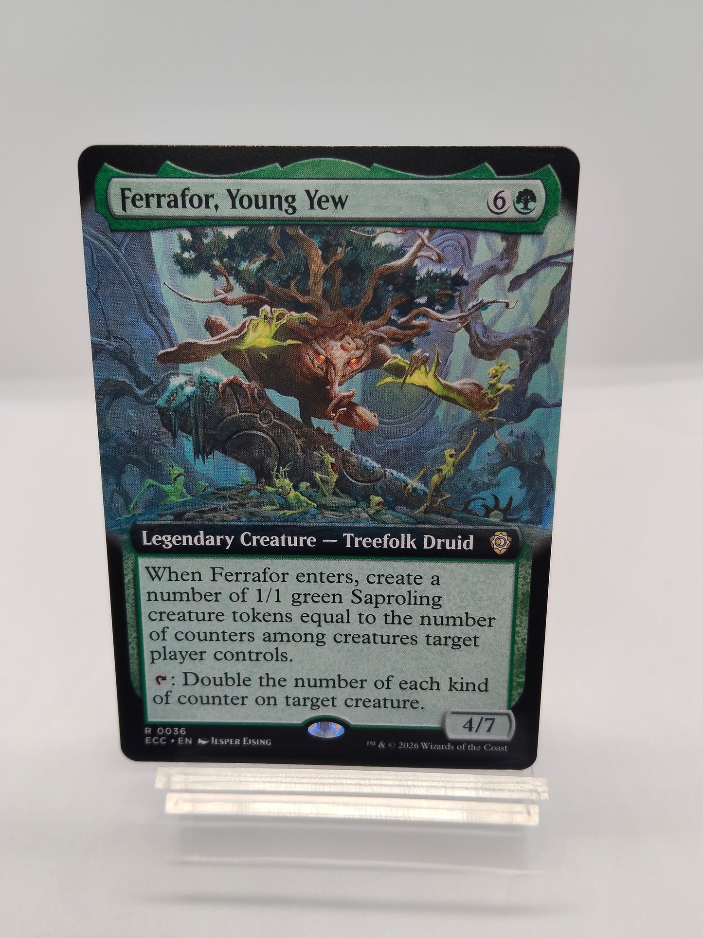 若きイチイ、フェラフォール / Ferrafor, Young Yew