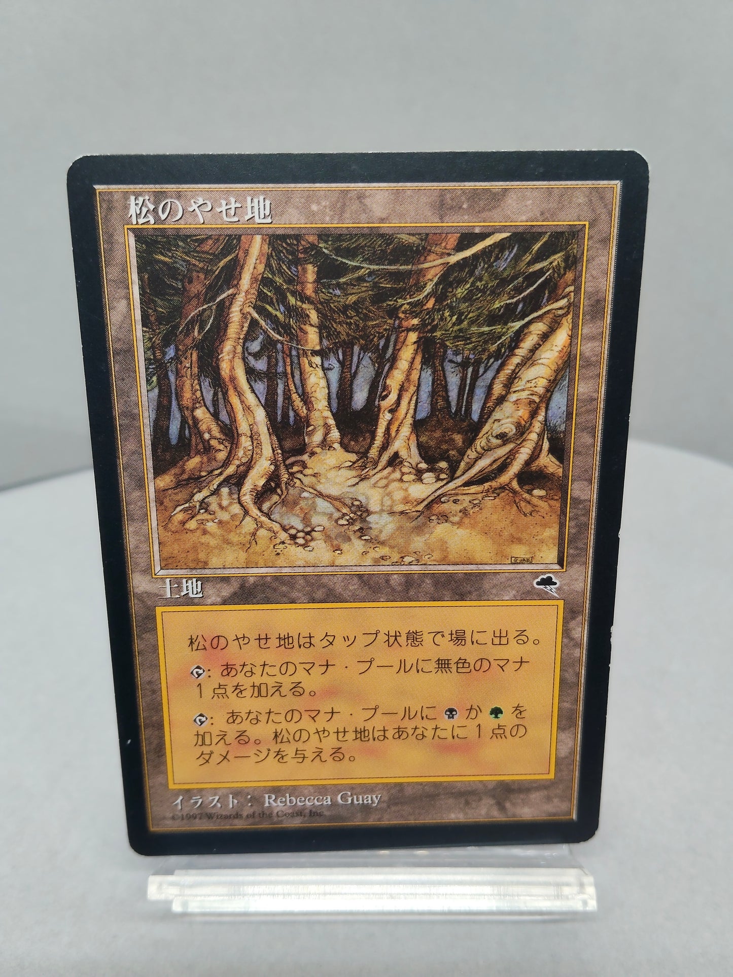 【日】松のやせ地 / Pine Barrens