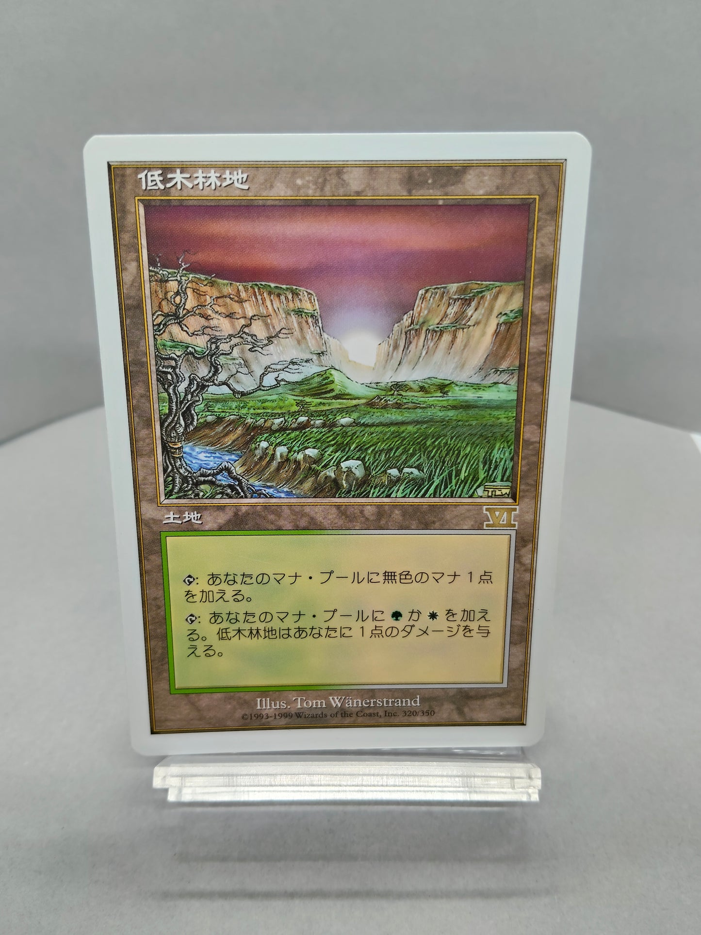 【日】低木林地 / Brushland