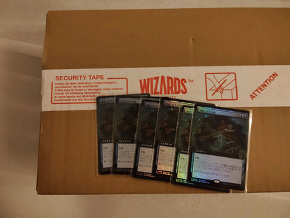 MTG】ローウィンの昏明 英語版 未開封カートン（6box入り） – 蒼のトレカ