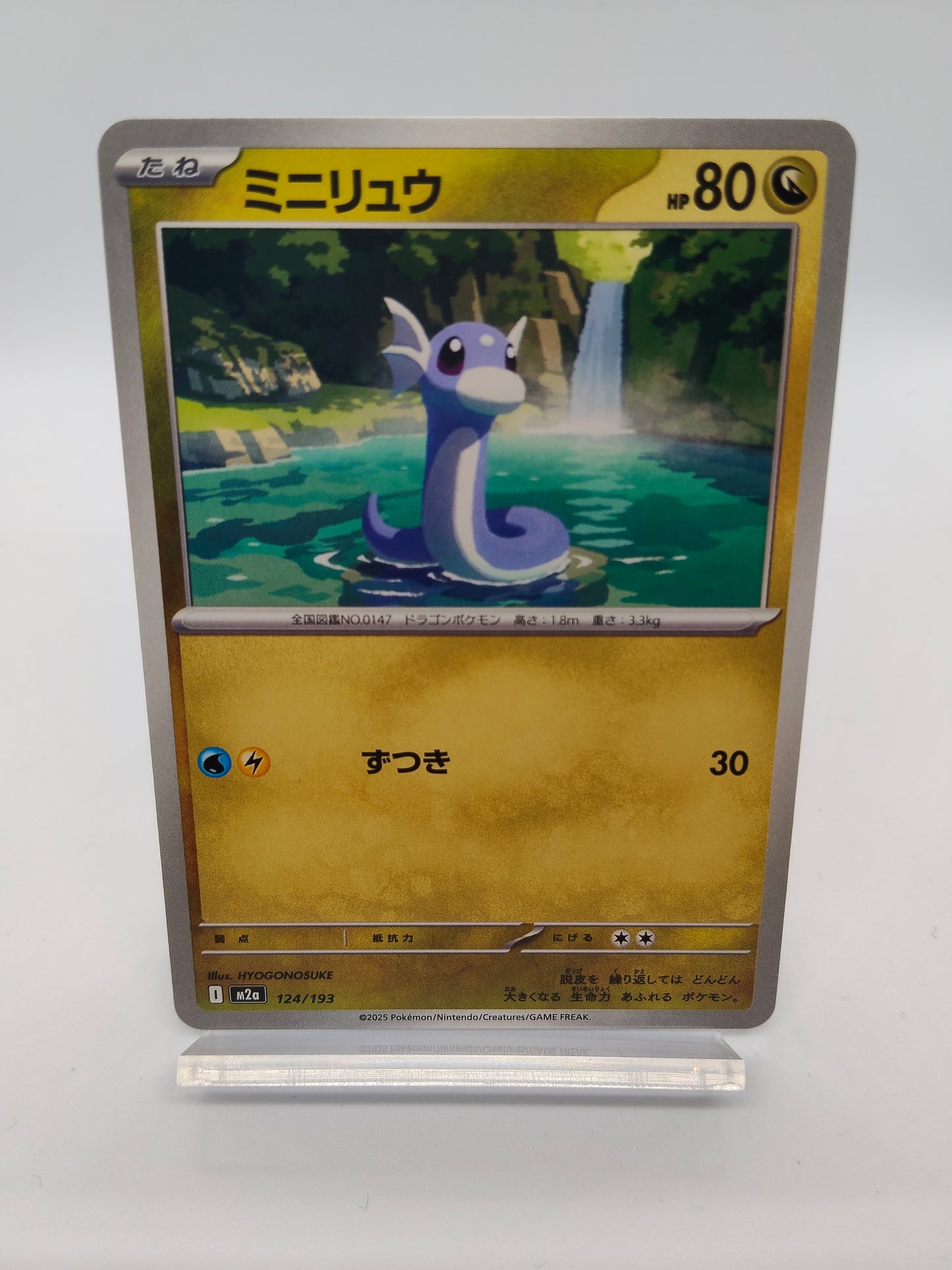 ミニリュウ / コモン / メガドリームex 124