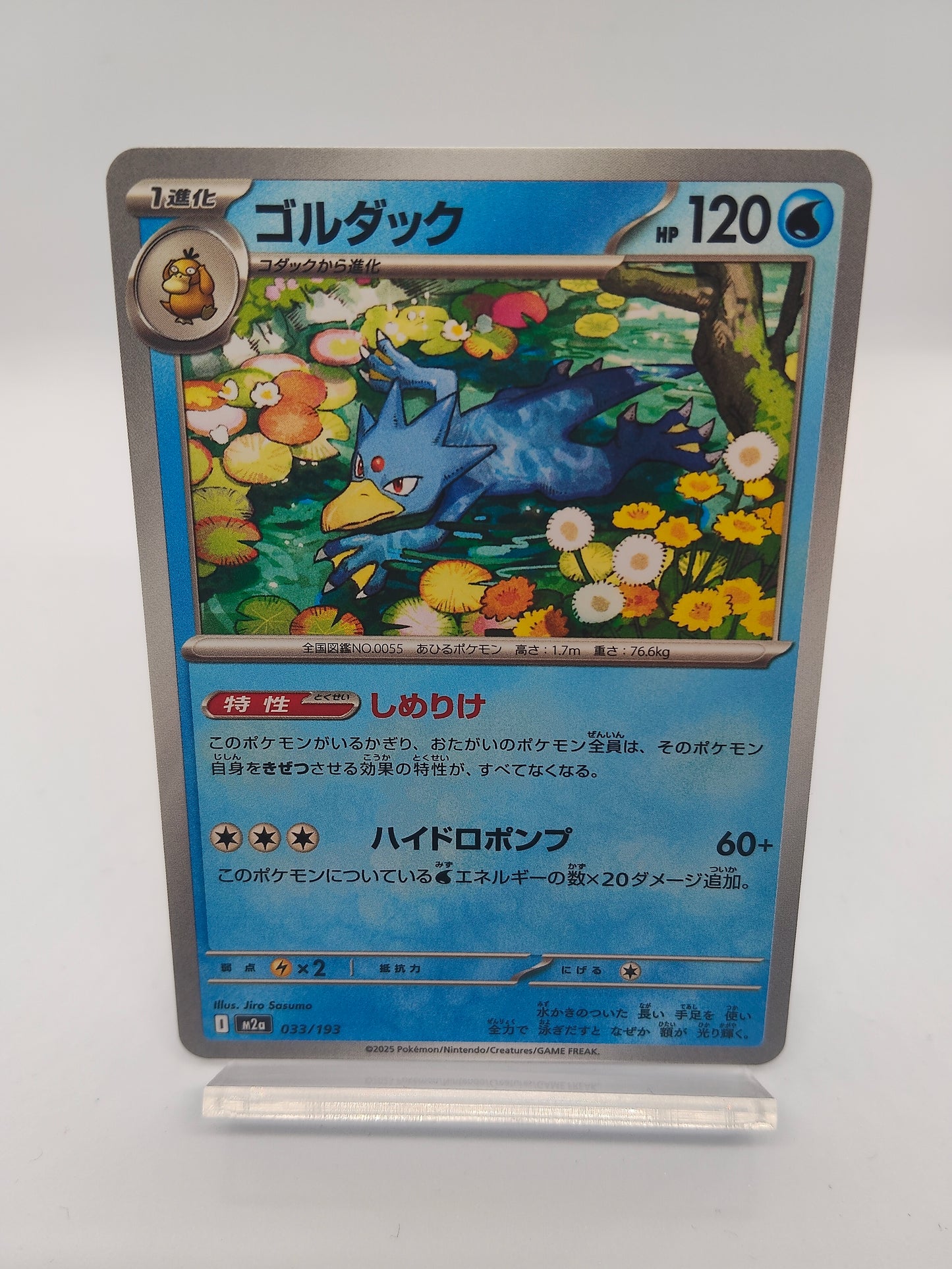 ゴルダック（しめりけ） / コモン / メガドリームex 033