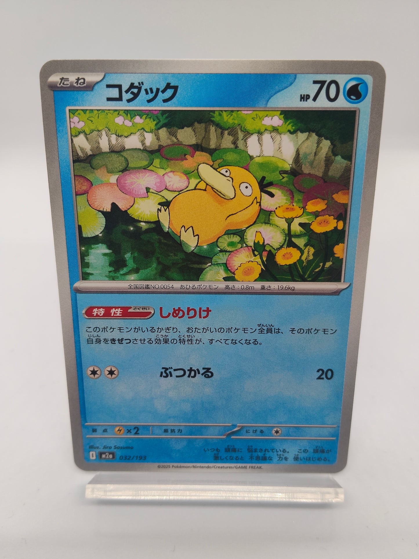 コダック（しめりけ） / コモン / メガドリームex 032