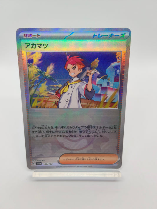 アカマツ / ボールミラー  / テラスタルフェスex_163