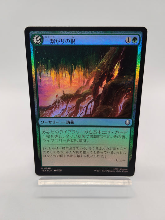 一繋がりの根 / Foil / 日本語 / アバター伝説の少年アン