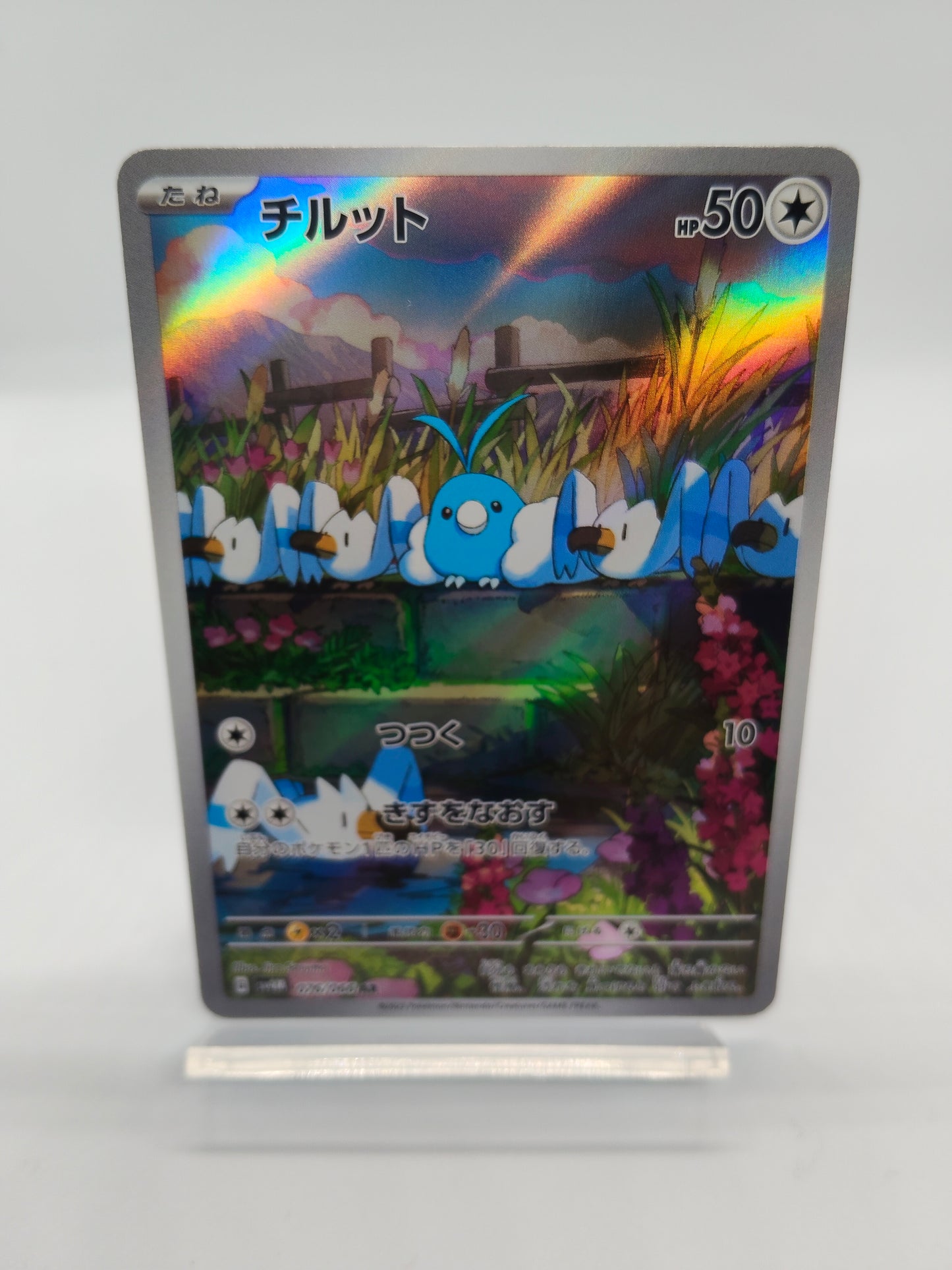 チルット / AR / 未来の一閃