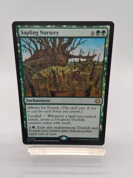 若木の生育場 / Sapling Nursery