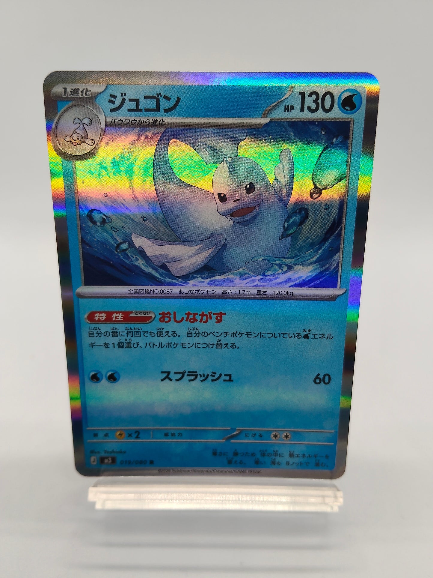 ジュゴン（おしながす）