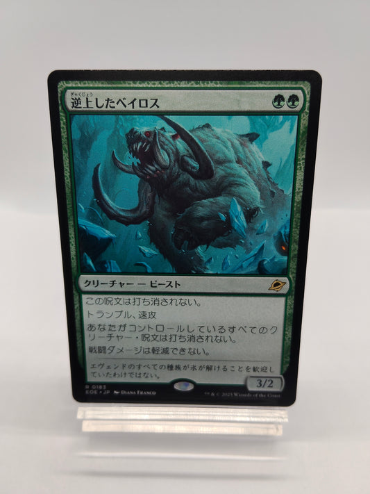 逆上したベイロス / Frenzied Baloth