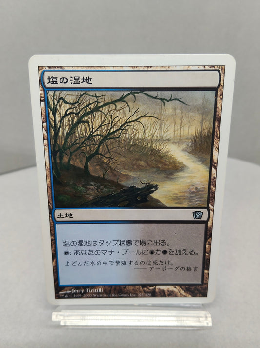 【日】塩の湿地 / Salt Marsh