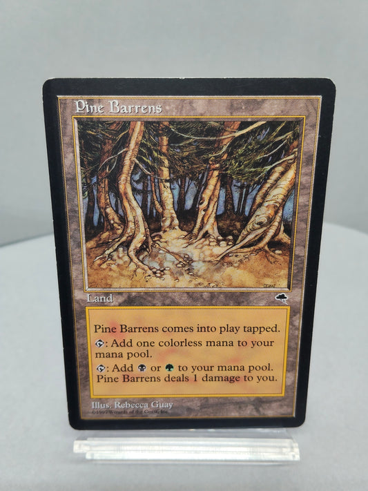 【英】松のやせ地 / Pine Barrens