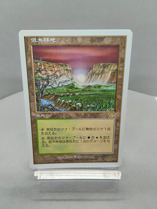 【日】低木林地 / Brushland