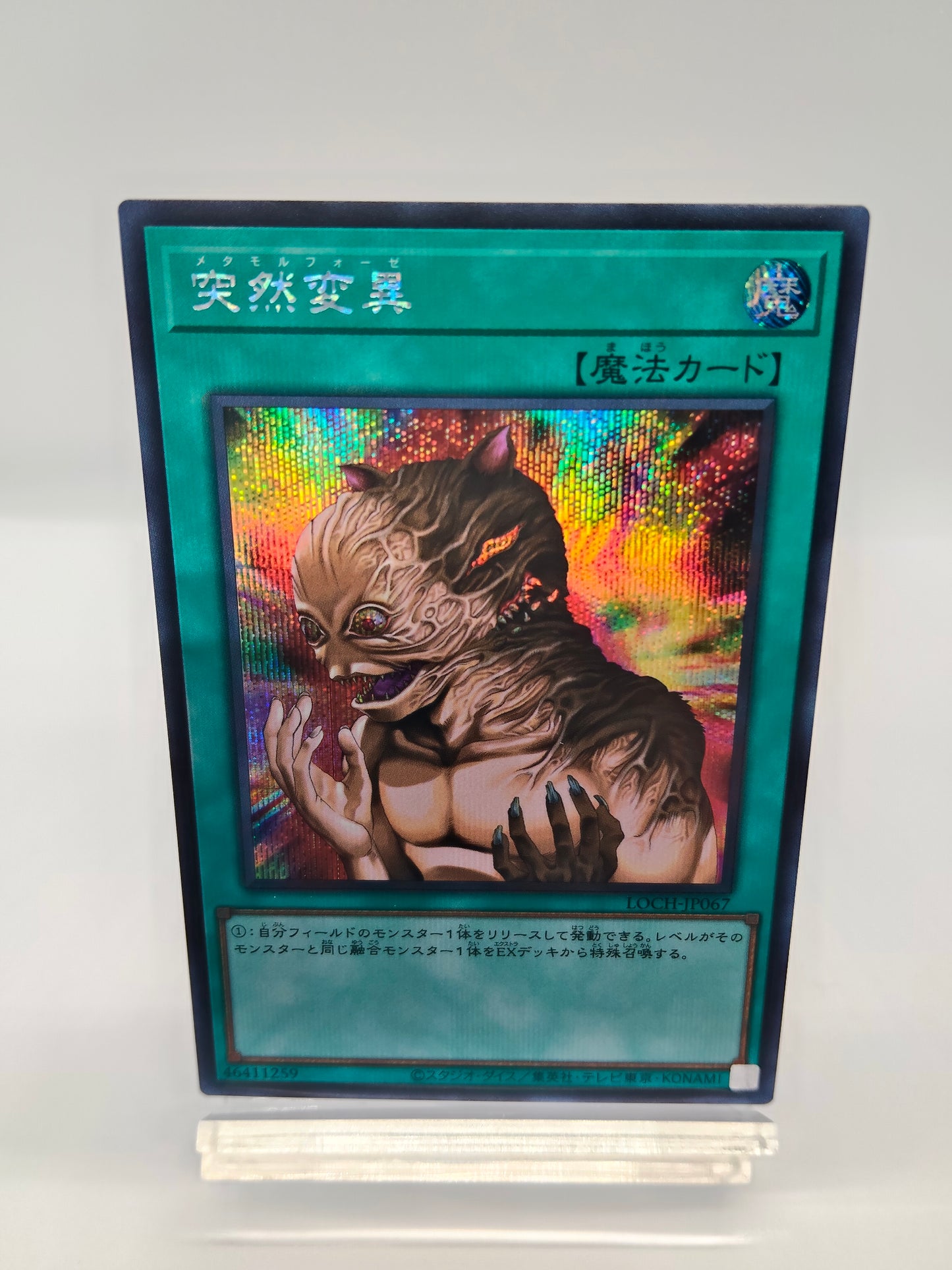 突然変異（メタモルフォーゼ） シークレットレア