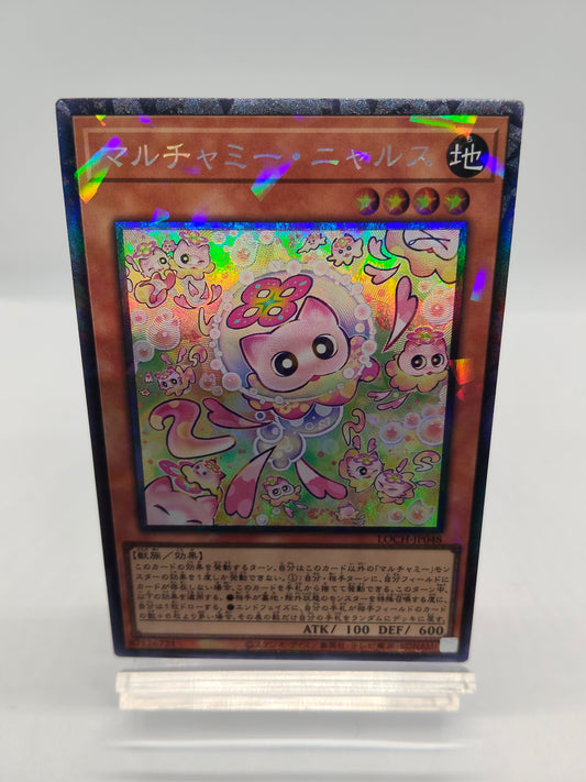 マルチャミー・ニャルス コレクターズ